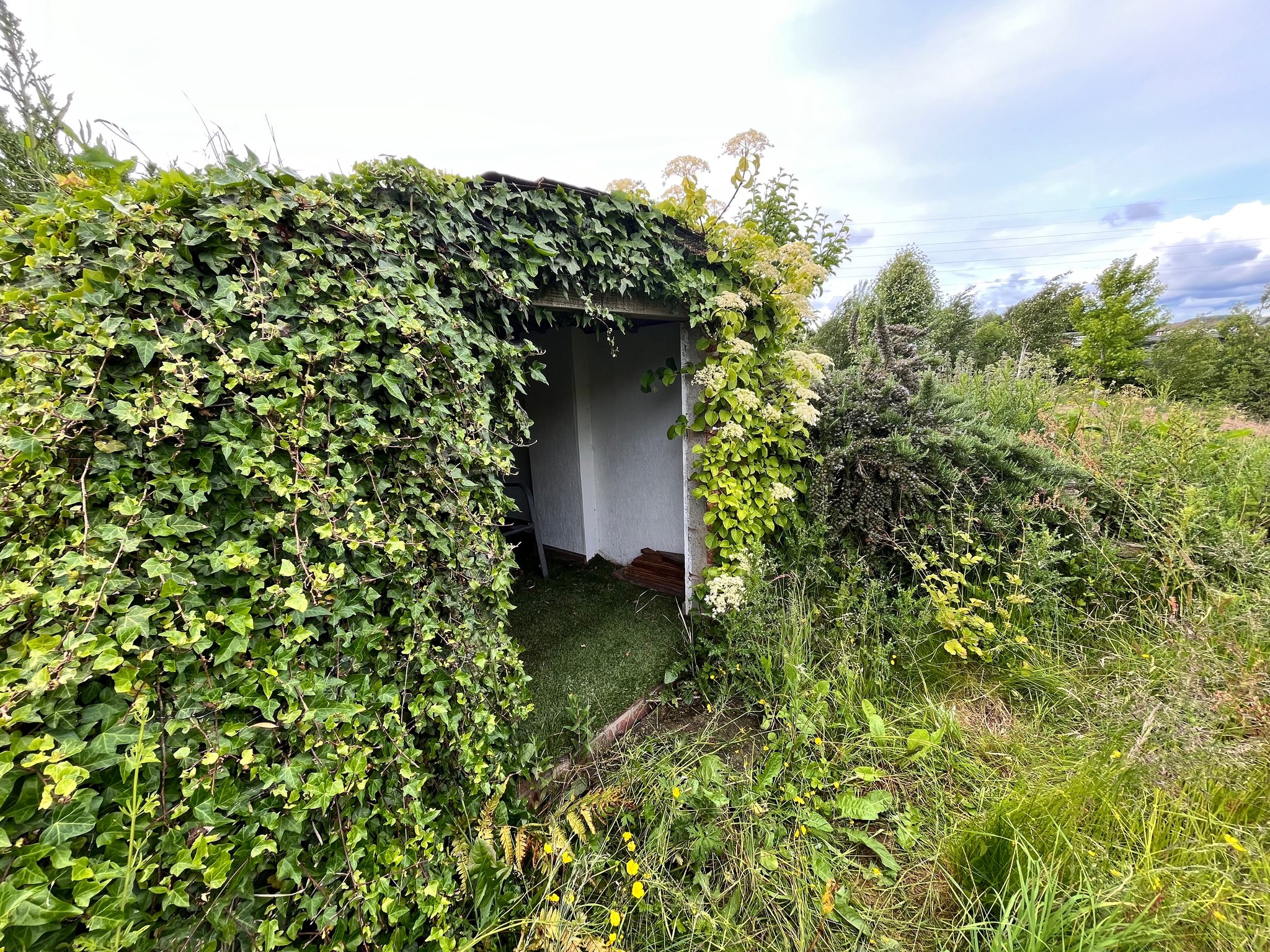 Farsley Natural Environment