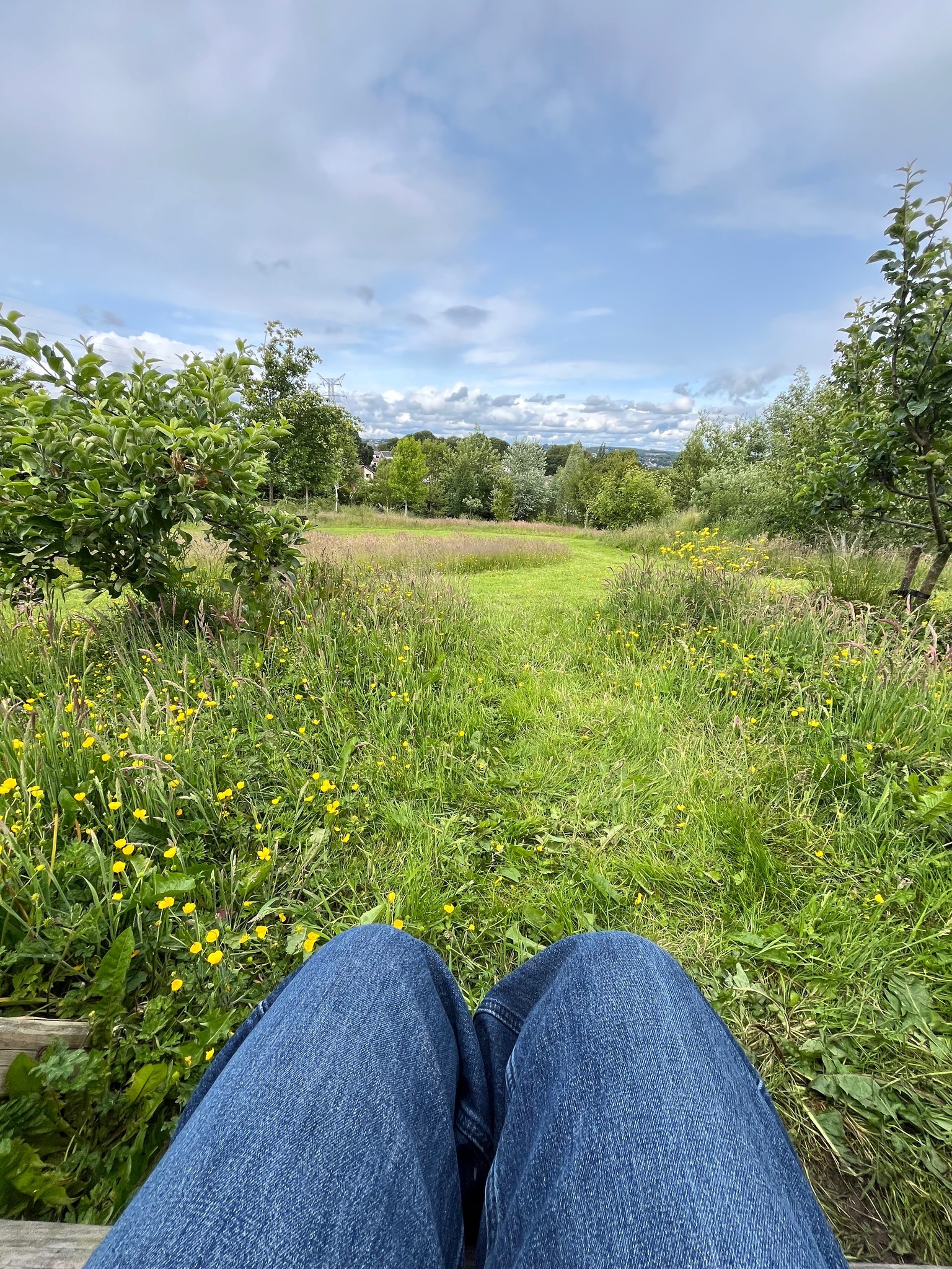 About Farsley Climate Action