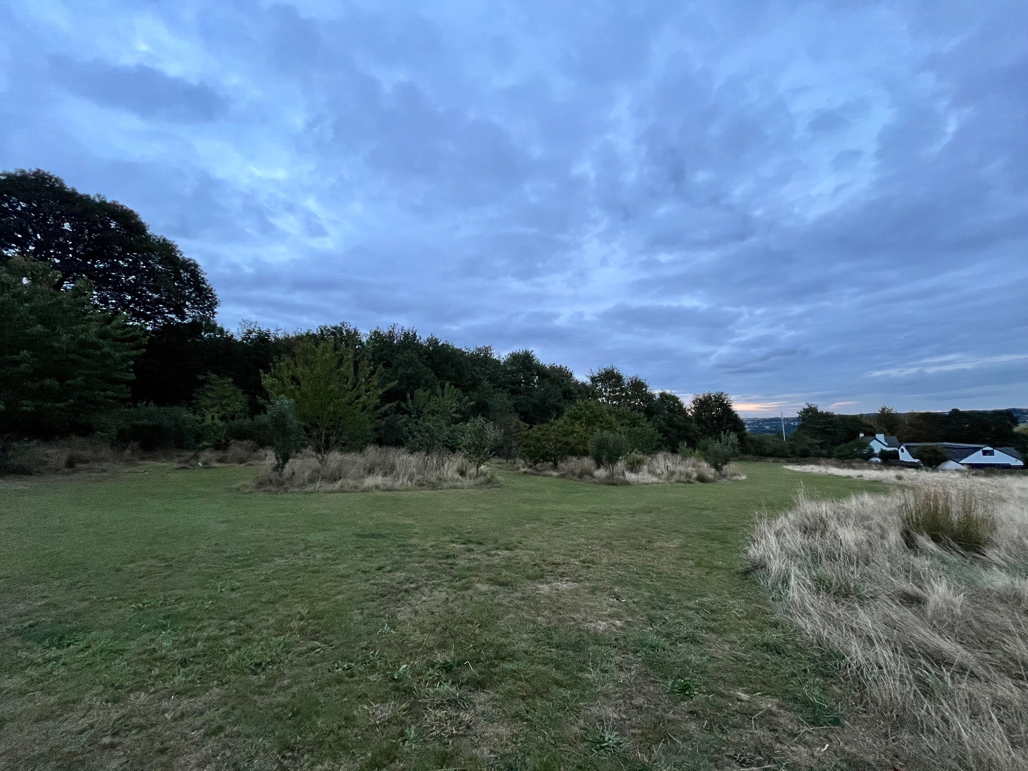 Events and Workshops